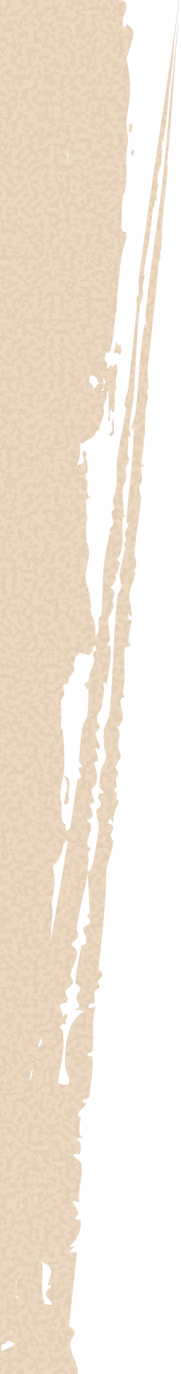 Hero Textured Background Desktop