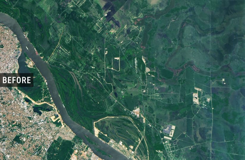 Fertile farmland with healthy crops and green vegetation